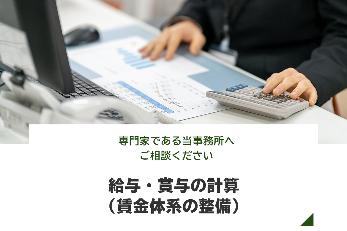 給与・賞与の計算（賃金体系の整備）